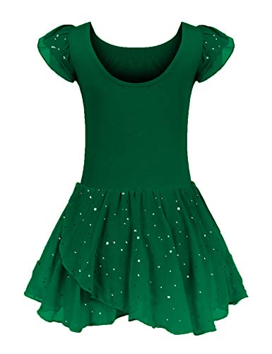 Image of Arshiner Girls Ruffle Sleeve Ballet Dance Dress Tutu Skirted Leotard