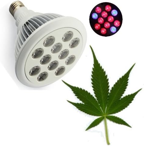 NEW Super Bright 36W Pot Wizard TM LED Grow Light for Bigger Stronger and Faster Herbal Harvest. This Light for More Buds