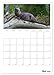 The Otter Appointment Planner (Wall Calendar 2026 DIN A3 High), CALVENDO Monthly Calendar: Fishing Otter - Floating Marten