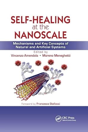 Self-Healing at the Nanoscale: Mechanisms and Key Concepts of Natural and Artificial Systems-Wow! eBook