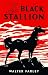 The Black Stallion