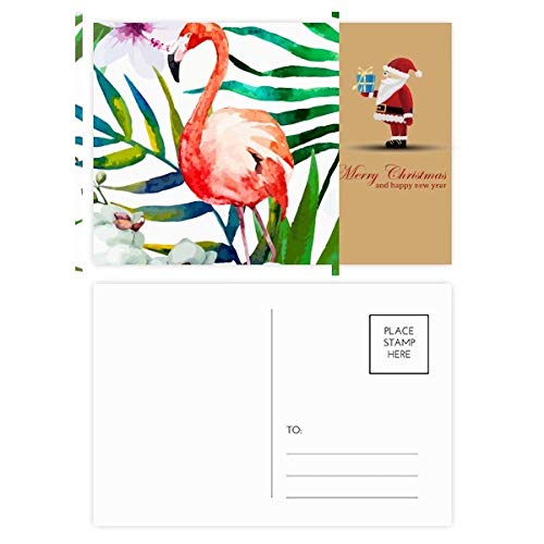Cartes postales roses lot de 20 pour invitations de mariage et correspondance d'été