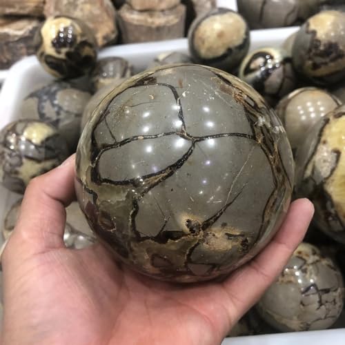 Boule de cristal écaille de tortue 10cm, le cadeau idéal pour collectionneur - 6