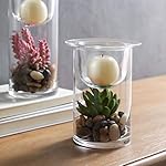 Set of 3 Cylinder Glass Succulent/Decorative Hurricane Candle Holder with Decorative Cobblestones and Artificial Plants (No Candles) - Unique Accent for Home and Table Decorative Christmas Ornaments - Image 4