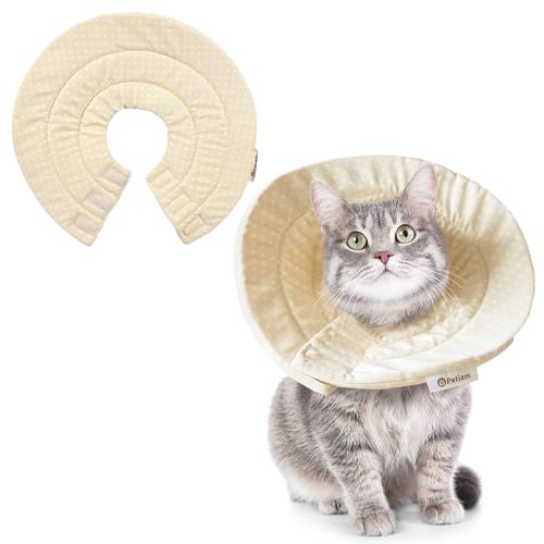 (V[Y݌v2˔j) Petiam GUxXJ[ L  \tg y rߖh~ ~h~ pPA (~NeBx[W, S)