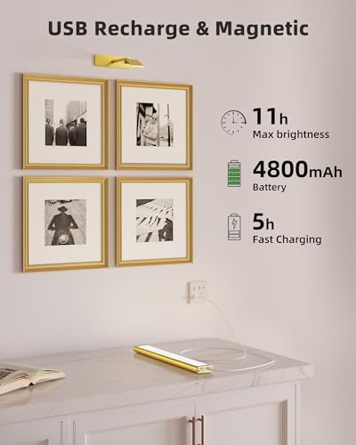 EZVALO Picture Light for Wall, 4800mAh Rechargeable Wireless Remote, 16in Dimmable Magnetic LED Art Display Light with 3 Color Temperatures, for Gallery, Living Room, Bedroom, Hallway (Gold)