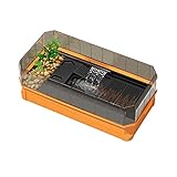 Terrario Tortugas/Tortuguera Tanque Especial for elevar la Caja de Tortugas Tortuga con el Drenaje Terrarium Hogar Ecological Tank con Plataforma de Secado Acuario de Tortugas (Size : B)