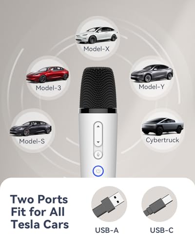 LvDonic Karaoke Mic for Tesla