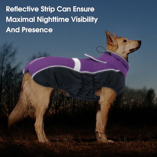 CITÉTOILE Hundemantel Wasserdichter, Hundejacke Winddichte Wintermantel Hund Outfit mit Reflektierender Streifen und Reißverschluss, Lila, M