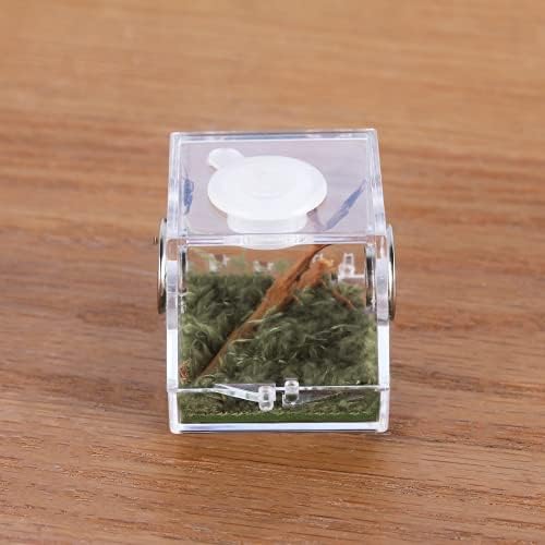 Crapelles 跳跃蜘蛛小盒子,微型栖息地,小型宠物昆虫饲养箱,(1.3 x 1.3 x 1.4 英寸)360 度透明爬行动物笼,迷你亚克力盒,小外壳配件