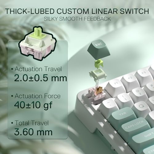 Tastiera Meccanica K719, RGB, 2.4Ghz/BT/Wired, Interruttori Mambo Minta, Bianco e Verde, w/Panel - Tastiera gaming - Immagine 5