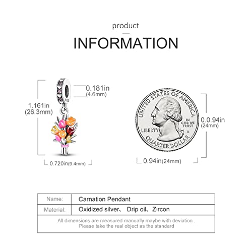 MULA 925 Sterling Silver Charms for Bracelets and Necklaces Family Letters Dangle Pendants Airplane Travel Beads Family Tree Jewelry Charms for Women4