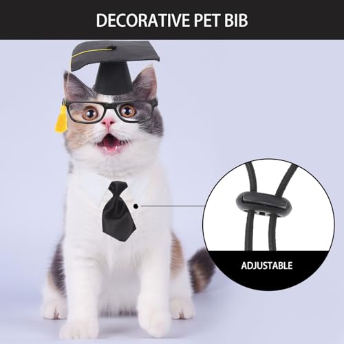 Sombrero y corbata de graduación para mascotas miniatura 6