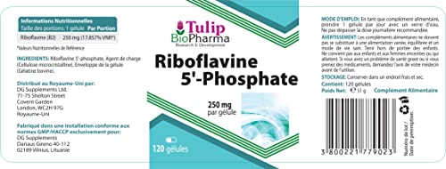 Tulip BioPharma Vitamin B2 (Riboflavin 5'-Phosphat) 250mg 120 Kapseln, Laborgeprüft, Hochdosiert, Nicht GVO & Glutenfrei