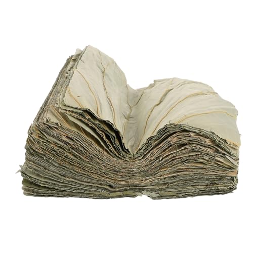 m[uhi 100@̗t iv[gCi[ ` AWApHޕ VE}Cp V[g p[eB[fR[VpR