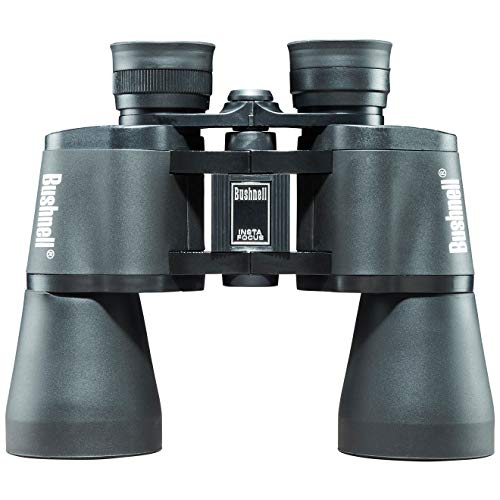 https://m.media-amazon.com/images/I/41we20MVDQL._SL500_.jpg