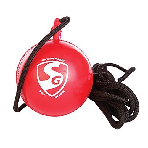 SG Iball Synthetic Cricket Ball,Pack of 1 (Red) (B07RSQD7B8) Amazon Price History, Amazon Price Tracker