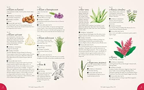 The Complete Language of Flowers: A Definitive and Illustrated History - Pocket Edition