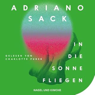 In die Sonne fliegen Titelbild