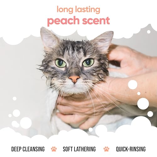 Buddycare Katzenshampoo für Katzen 500 ml Katzenshampoo mit Pfirsichduft zur Reinigung und zum Waschen