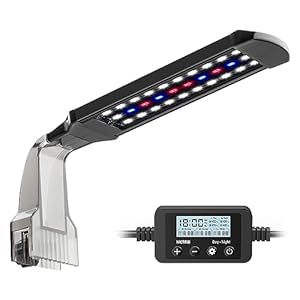 NICREW Clip on Aquarium Light, Fish Tank Light with White, Blue and Red LEDs, Planted Aquarium Light for Nano Tank, 2 Lighting Modes