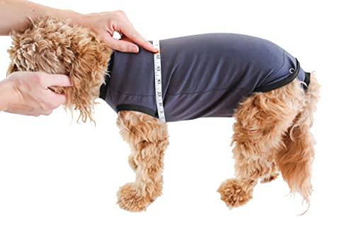 image for BellyGuard Recovery Suit for Dogs, Comfy Dog Surgery Suit, Female Spay