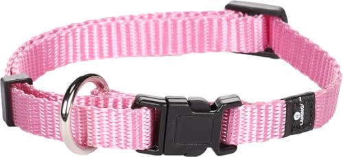 Flamingo - Collare Ziggi Rosa per Cani di Piccola Taglia (es. Chihuahua) XS 20-35 cm, 10 mm - Stile e Comfort per i Più Piccoli!