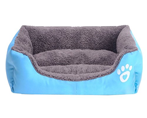 Lit chat et coussin pour animaux de compagnie idéal pour le printemps