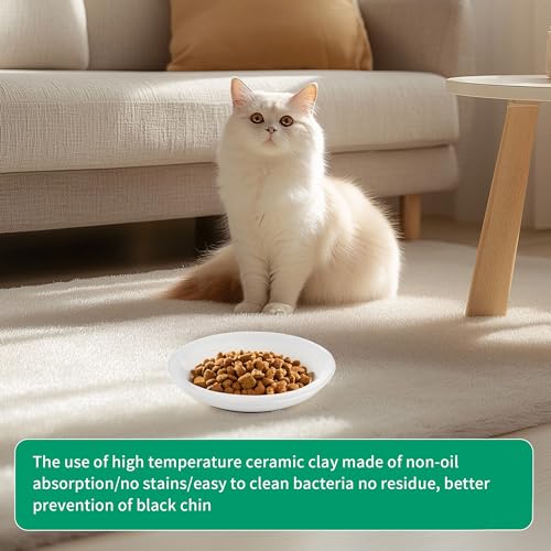 6 Stück Futternapf Katze,Katzennapf Keramik mit Rutschfestem Gummiboden,15 cm Durchmesser, Katzennapf für Haustierkatzen und Welpen (6)