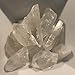 AMOYSTONE 1Lb Bulk Clear Quartz Crystal Points in Box Raw White Quartz Crystals Rough Stones Natural Clear Quartz Cluster for Home Decor