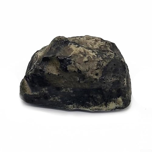 Scatola portachiavi in pietra cava realistica per nascondere e riporre oggetti di valore