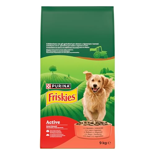 Purina Friskies Active crocchette per cani con manzo e verdure,