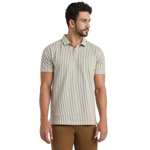 Image of Colorplus Men Regular Fit Stripe Pattern Pure Cotton Half Sleeve Polo Neck Casual T-Shirt