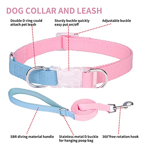 Aiitle Easy Walk Dog Halter Harness - No Pull Dog Harness Collar Leash Set With Padded Handle - No Choke Escape Proof Cute Pet Harness For Small Dogs Pink-Blue S #TOP2