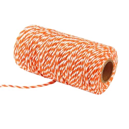 Spago da macellaio per artigianato, 100 m, 2 mm, in cotone, colorato, per cucina, carne, confezioni regalo, artigianato, giardinaggio, artigianato (arancione)