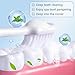 2 PCS SP-6 Probiotic Whitening Toothpaste, for Teeth Whitening and Gum Health, Enhanced Formula with 6 Probiotics, Fluoride-Free, Minty Fresh Flavor, 4.9 oz (2)