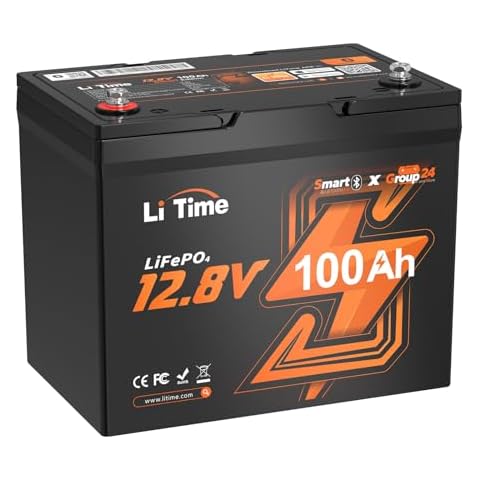 LiTime 12V 100Ah Group 24 Bluetooth LiFePO4 Battery, Deep Cycle Lithium Battery, Built-in 100A BMS with Low-Temp Protection, Max. 15000 Cycles, Perfect for RV, Solar System, Trolling Motors etc. Cover