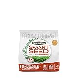 Pennington Seed Smart Seed Bermuda Full Sun Grass Seed & Fertilizer 1.75 lb. - Case of: 1;