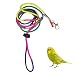 鳥のおむつ - ファッションでソフトな鳥用おむつフライトスイート,ピジョンパンツ、オウムの服小型中鳥インコオウムオカメインコ、ピジョンフライトスーツ、鳥の服 Xmod
