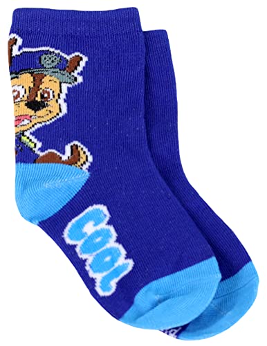Nickelodeon Little Boy's 5 Pack Paw Patrol Character Crew Socks, Grey, Medium4