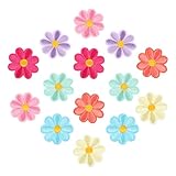 LIQWEI 14 Stück Aufbügel Patches Gänseblümchen, Bunt aufbügelflicken Gänseblümchen Patches Zum Aufbügeln Blumen Bügelflicken Für Textilien Dekorative Bügelflicken Erwachsene Kinder