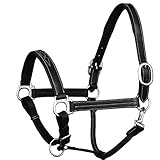 ExionPro Triple Fancy Stitched Padded Cushioned Leather Halter-Nickel Buckles | Adjustable Chin and
