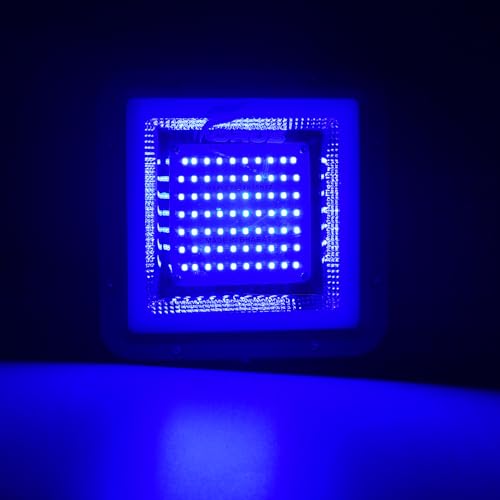 Image of Forus 20W LED Flood Light, Blue Light, 4-Year Warranty, IP67 Waterproof Outdoor Lighting, High Mast Halogen Focus Light for Factory, Garage, Parking, Garden, Shop, Warehouse, Tent, Warehouse, 1PC