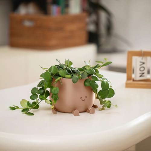 Image of TOPOLA Happy Face Planter, 5.2 Inches Plastic Plant Pot, Self Watering Plant Pot with Drainage Holes for Indoor Outdoor, Succulent Pot, Funny Flower Pot, Khaki