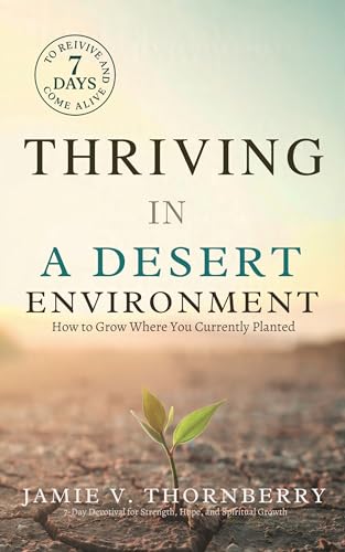 Thriving in a Desert Environment: How to Grow Where You Are Currently Planted