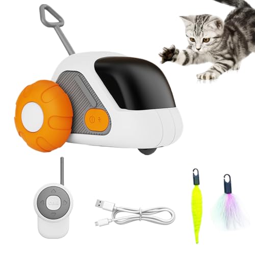 C^NeBu L  - [g Rg[  ybg Q[ - Lp R  - ^ ^ ^  qL     O