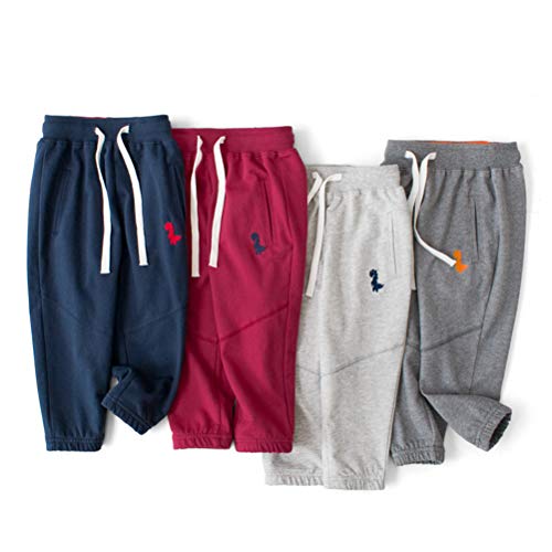 DCUTERQ Toddler Boys Jogger Pants Dinosaur Elastic Waist Sweatpants Cotton Sports Casual Athletic Pull On Trousers2