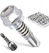 Profilato Ferro Set Di Viti Autofilettanti In Acciaio Inox, Varie