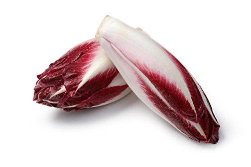 Curious British Red Chicory 140g
