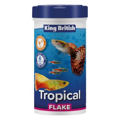 King British | Copos para Peces Tropicales 28g: Alimento Completo con Multivitaminas, Ingredientes Naturales para Acuario